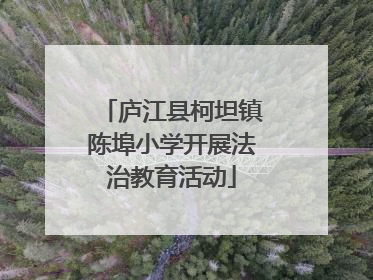 庐江县柯坦镇陈埠小学开展法治教育活动