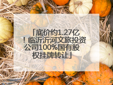 底价约1.27亿！临沂沂河文旅投资公司100%国有股权挂牌转让
