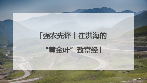 强农先锋丨崔洪海的“黄金叶”致富经