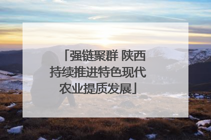 强链聚群 陕西持续推进特色现代农业提质发展
