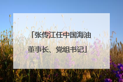 张传江任中国海油董事长、党组书记