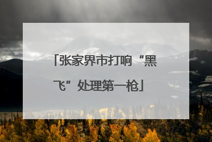 张家界市打响“黑飞”处理第一枪