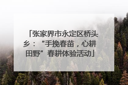 张家界市永定区桥头乡：“手挽春苗，心耕田野”春耕体验活动