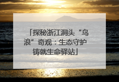 探秘浙江洞头“鸟浪”奇观：生态守护铸就生命驿站