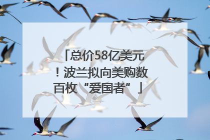 总价58亿美元！波兰拟向美购数百枚“爱国者”