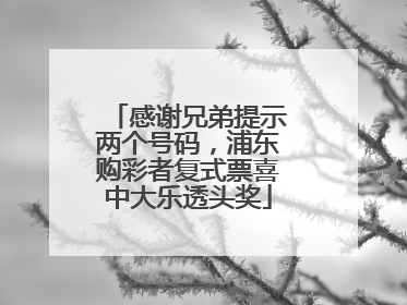 感谢兄弟提示两个号码，浦东购彩者复式票喜中大乐透头奖