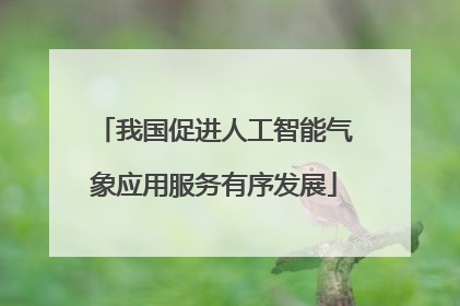 我国促进人工智能气象应用服务有序发展