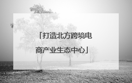打造北方跨境电商产业生态中心