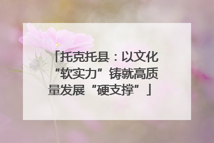 托克托县：以文化“软实力”铸就高质量发展“硬支撑”