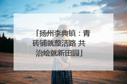 扬州李典镇：青砖铺就整洁路 共治绘就新田园