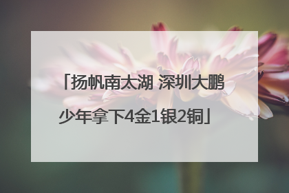 扬帆南太湖 深圳大鹏少年拿下4金1银2铜
