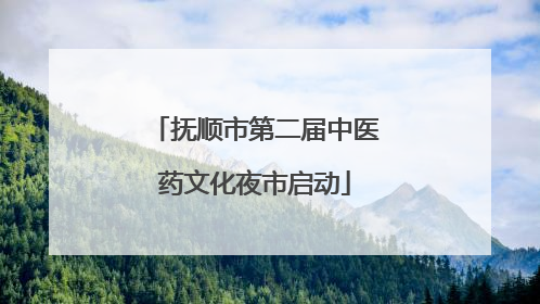 抚顺市第二届中医药文化夜市启动
