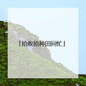 抢收抢种田间忙