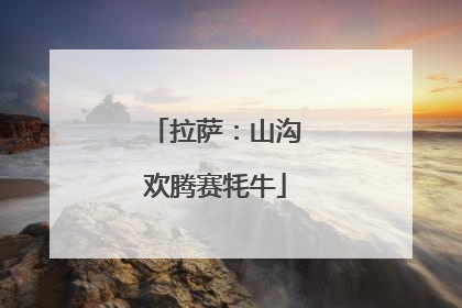 拉萨：山沟欢腾赛牦牛