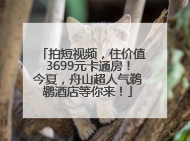 拍短视频，住价值3699元卡通房！今夏，舟山超人气鹈鹕酒店等你来！
