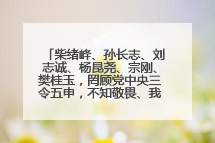 柴绪峰、孙长志、刘志诚、杨昆尧、宗刚、樊桂玉，罔顾党中央三令五申，不知敬畏、我行我素、肆意妄为！