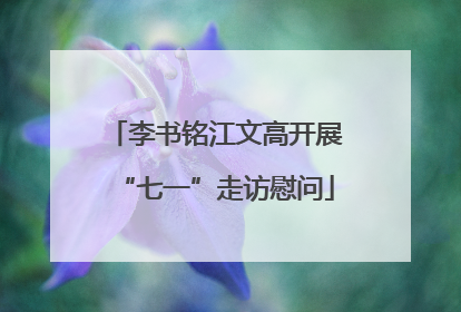 李书铭江文高开展“七一”走访慰问