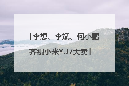 李想、李斌、何小鹏齐祝小米YU7大卖