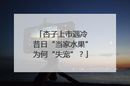 杏子上市遇冷 昔日“当家水果”为何“失宠”？
