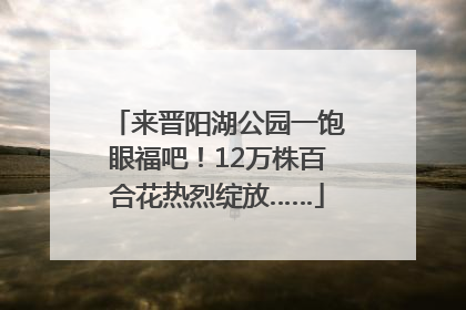 来晋阳湖公园一饱眼福吧！12万株百合花热烈绽放……