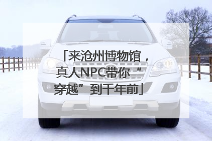 来沧州博物馆，真人NPC带你“穿越”到千年前