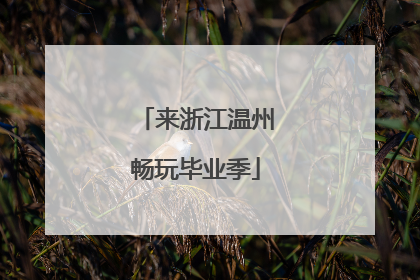 来浙江温州畅玩毕业季