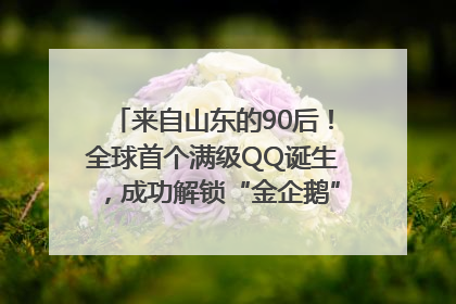 来自山东的90后！全球首个满级QQ诞生，成功解锁“金企鹅”，是继承父亲账号