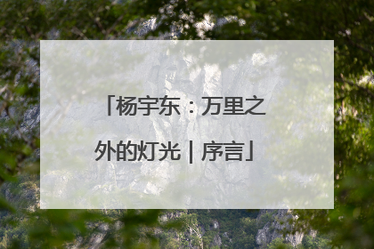 杨宇东：万里之外的灯光｜序言