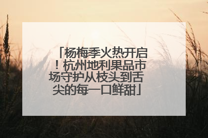 杨梅季火热开启！杭州地利果品市场守护从枝头到舌尖的每一口鲜甜