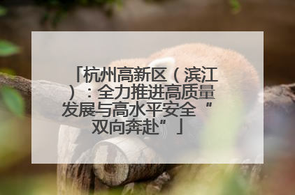 杭州高新区（滨江）：全力推进高质量发展与高水平安全“双向奔赴”