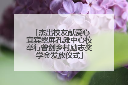杰出校友献爱心 宜宾翠屏孔滩中心校举行曾剑乡村励志奖学金发放仪式