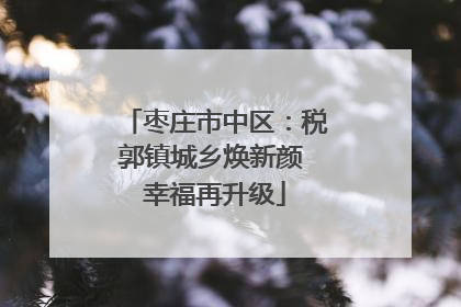 枣庄市中区：税郭镇城乡焕新颜 幸福再升级