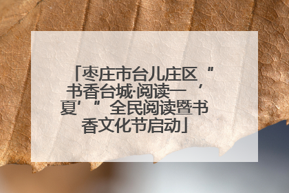 枣庄市台儿庄区“书香台城·阅读一‘夏’”全民阅读暨书香文化节启动