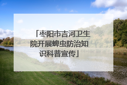 枣阳市吉河卫生院开展蜱虫防治知识科普宣传