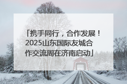 携手同行，合作发展！2025山东国际友城合作交流周在济南启动