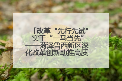 改革“先行先试” 实干“一马当先”——菏泽鲁西新区深化改革创新助推高质量发展纪实