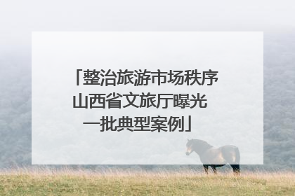 整治旅游市场秩序 山西省文旅厅曝光一批典型案例