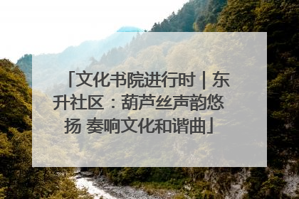 文化书院进行时｜东升社区：葫芦丝声韵悠扬 奏响文化和谐曲