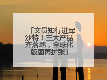 文员知行进军沙特！三大产品齐落地，全球化版图再扩张
