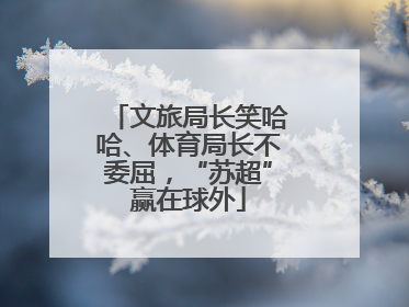 文旅局长笑哈哈、体育局长不委屈，“苏超”赢在球外