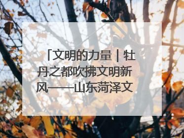 文明的力量｜牡丹之都吹拂文明新风——山东菏泽文明创建一线见闻