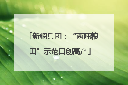 新疆兵团：“两吨粮田”示范田创高产