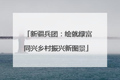 新疆兵团：绘就绿富同兴乡村振兴新图景