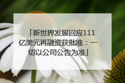 新世界发展回应111亿美元再融资获批准：一切以公司公告为准