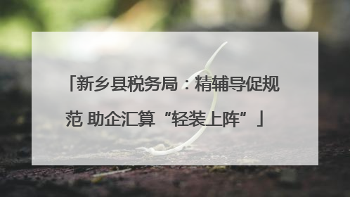 新乡县税务局：精辅导促规范 助企汇算“轻装上阵”