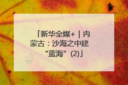 新华全媒+｜内蒙古：沙海之中建“蓝海”(2)