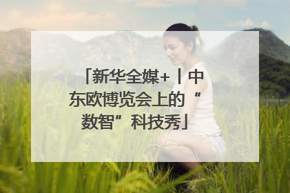 新华全媒+丨中东欧博览会上的“数智”科技秀
