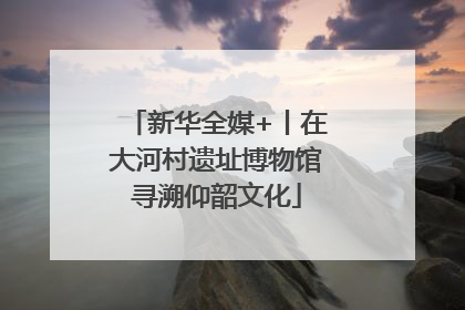 新华全媒+丨在大河村遗址博物馆寻溯仰韶文化