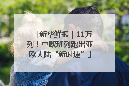 新华鲜报｜11万列！中欧班列跑出亚欧大陆“新时速”