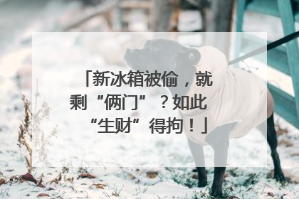 新冰箱被偷，就剩“俩门”？如此“生财”得拘！
